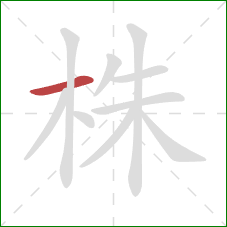 株的笔顺第1画：横