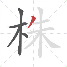 株的笔顺第5画：撇