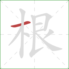 根的笔顺第1画：横