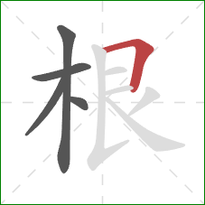 根的笔顺第5画：横折