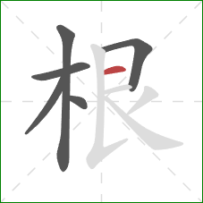 根的笔顺第6画：横