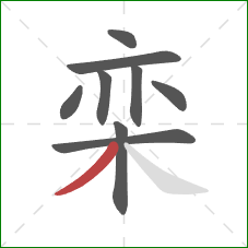 栾的笔顺第9画：撇