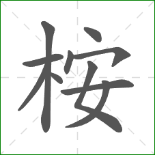 桉的笔顺