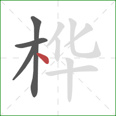 桦的笔顺第4画：点