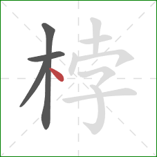 桲的笔顺第4画：点