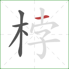 桲的笔顺第5画：横