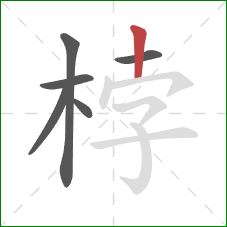 桲的笔顺第6画：竖