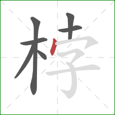 桲的笔顺第7画：点