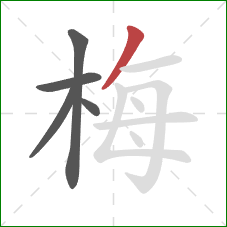 梅的笔顺第5画：撇