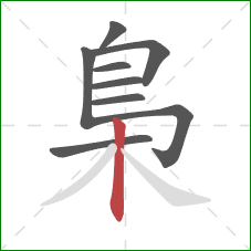 梟的笔顺第9画：竖