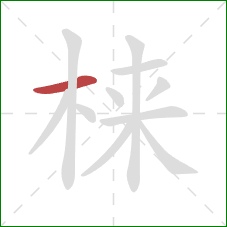 梾的笔顺第1画：横