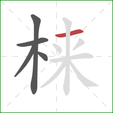 梾的笔顺第5画：横