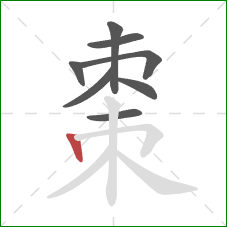 棗的笔顺第8画：竖