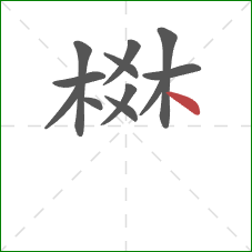 棥的笔顺第12画：点