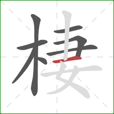 棲的笔顺第8画：横