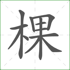 棵的笔顺