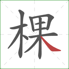 棵的笔顺第12画：捺