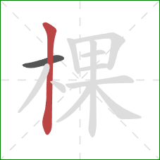 棵的笔顺第2画：竖
