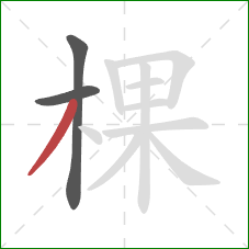 棵的笔顺第3画：撇