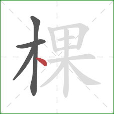 棵的笔顺第4画：点