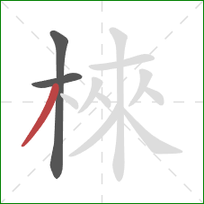 棶的笔顺第3画：撇