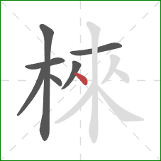 棶的笔顺第7画：点