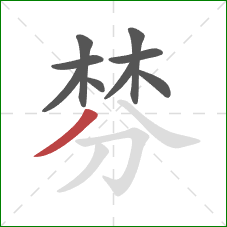 棼的笔顺第9画：撇