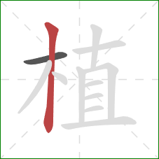 植的笔顺第2画：竖