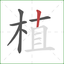 植的笔顺第6画：竖