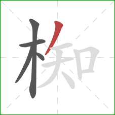 椥的笔顺第5画：撇