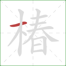 椿的笔顺第1画：横