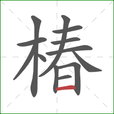 椿的笔顺第13画：横