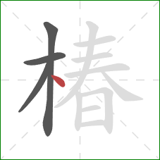 椿的笔顺第4画：点