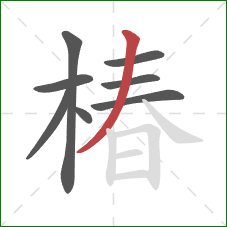 椿的笔顺第8画：撇