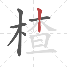 楂的笔顺第6画：竖