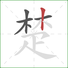 楚的笔顺第6画：竖