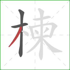 楝的笔顺第3画：撇