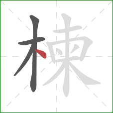 楝的笔顺第4画：点