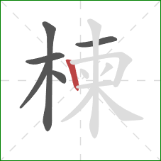 楝的笔顺第6画：竖