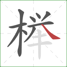 榉的笔顺第10画：捺