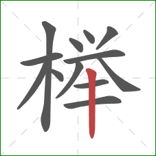 榉的笔顺第13画：竖