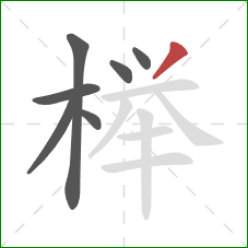 榉的笔顺第7画：撇