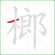 榔的笔顺第1画:横 榔的笔顺第1画:横