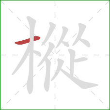 樅的笔顺第1画：横