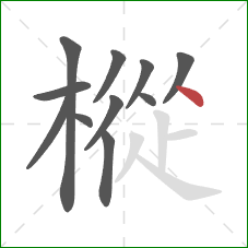 樅的笔顺第11画：点