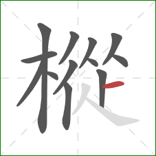 樅的笔顺第13画：横