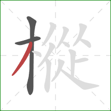樅的笔顺第3画：撇