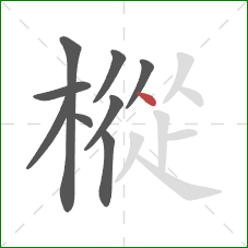 樅的笔顺第9画：点