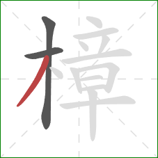 樟的笔顺第3画：撇