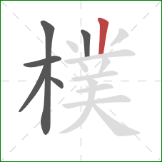 樸的笔顺第6画：竖